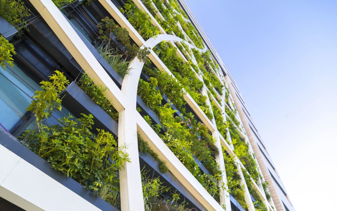 Sepides y Green Building Council España buscan certificar en ‘verde’ sus edificios
