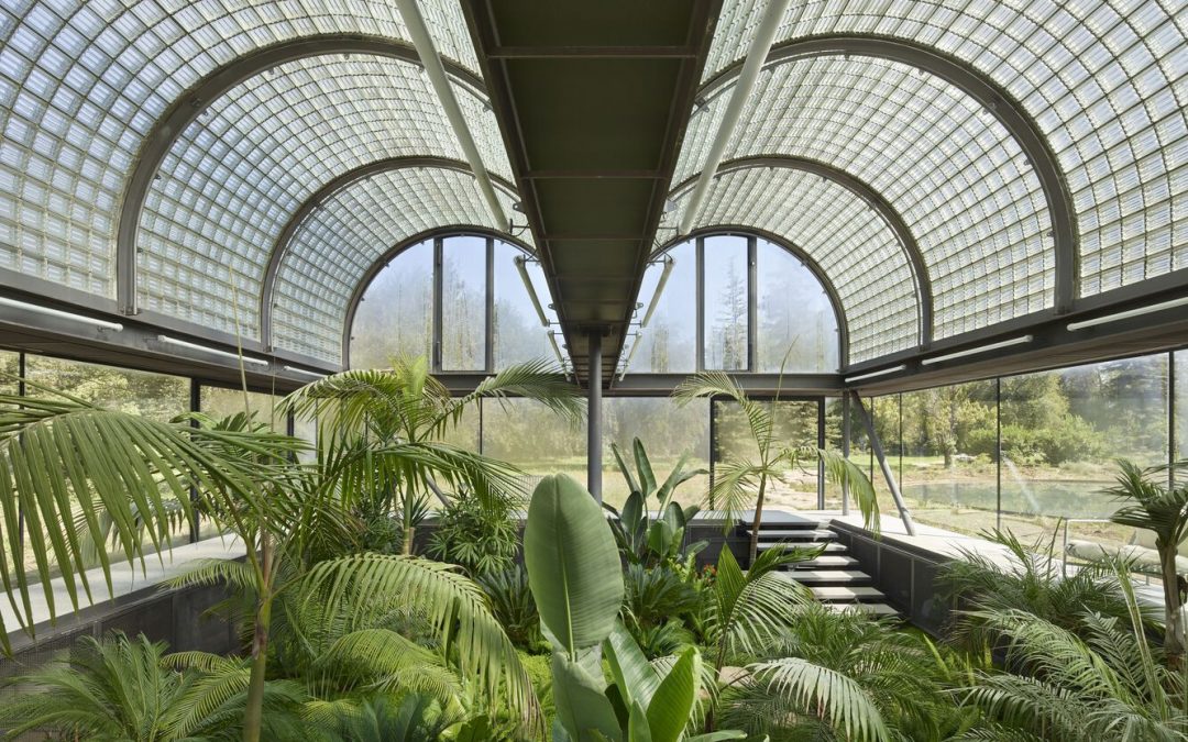 Una casa de vidrio para plantas e insectos