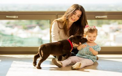 Ventanas seguras para los niños