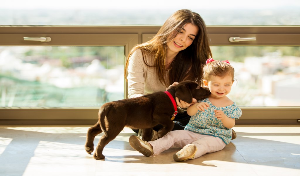 Ventanas seguras para los niños