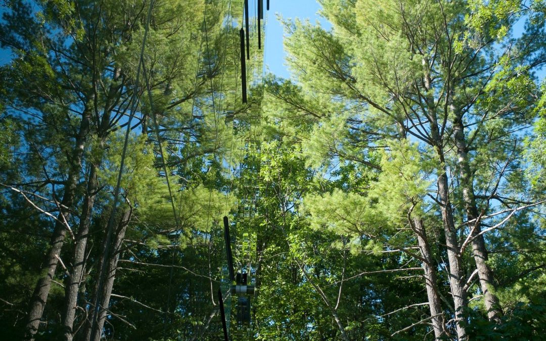 Una casa que refleja el exterior en las montañas de Catskill